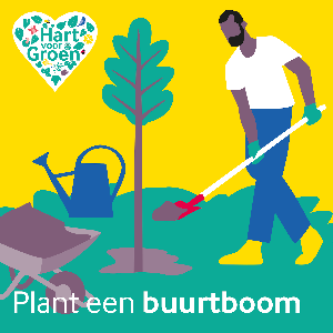 "plant een buurtboom in Schiedam"