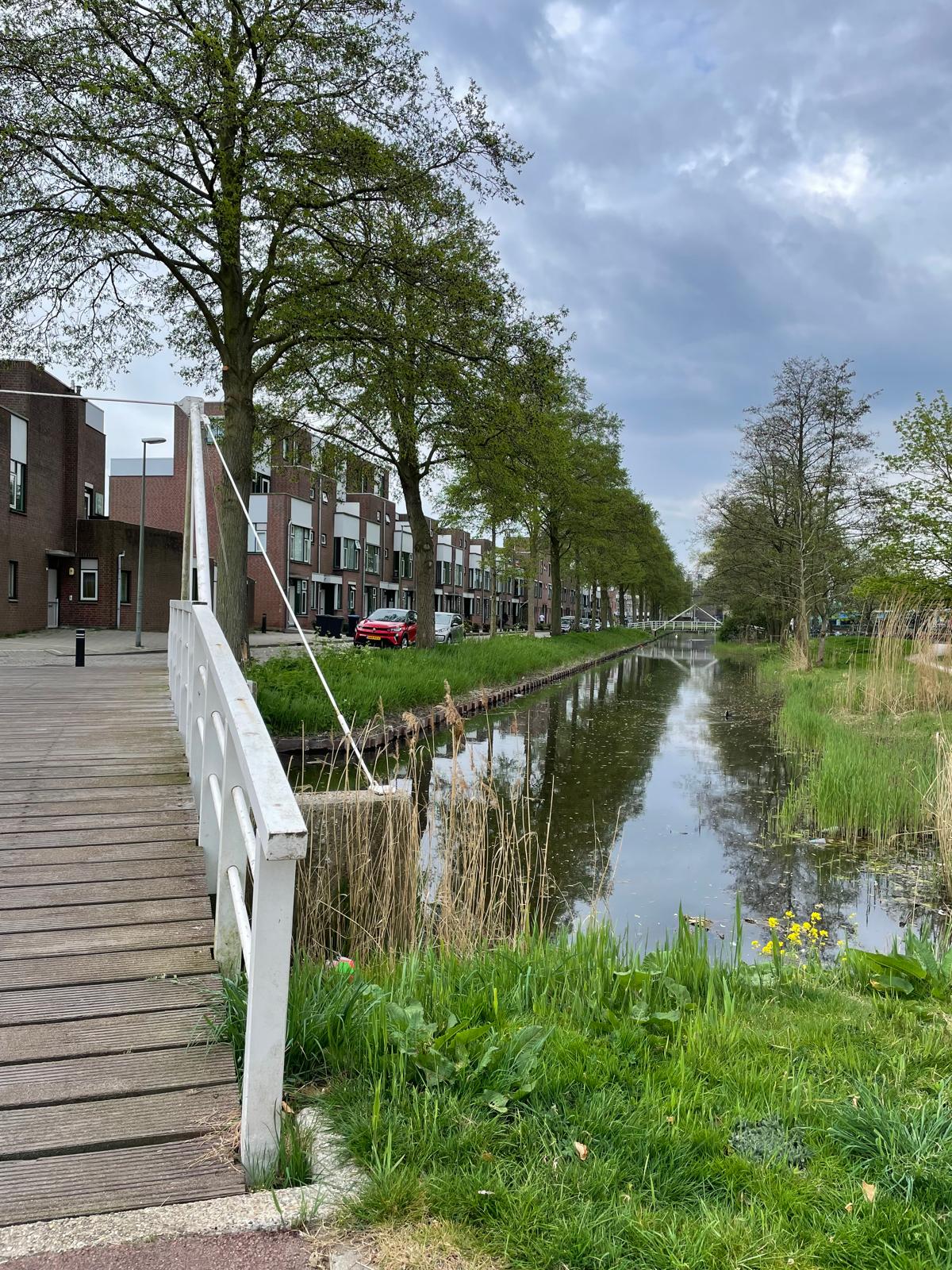 omgeving Bernardus IJzerdraatsingel